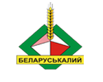 Беларуськалий